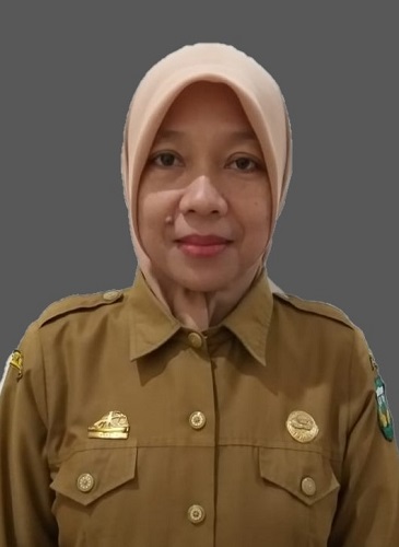 Hamsina, S.Pd